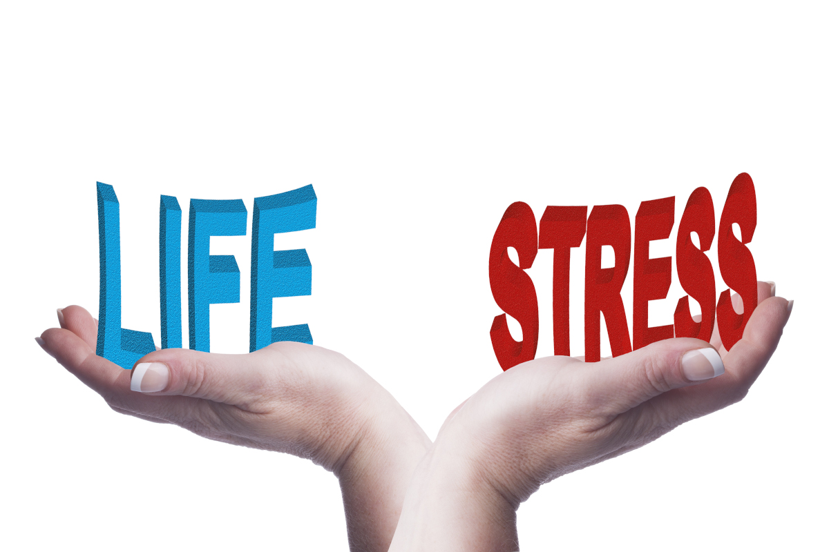 Life = Stress, Stress = Life